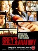   | Grey's Anatomy |   